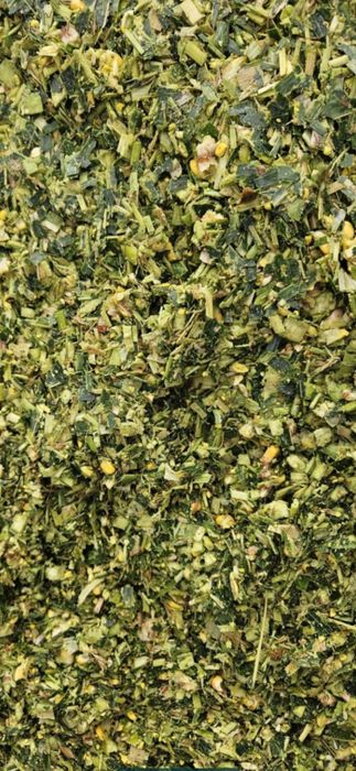 Siloz de porumb masa verde