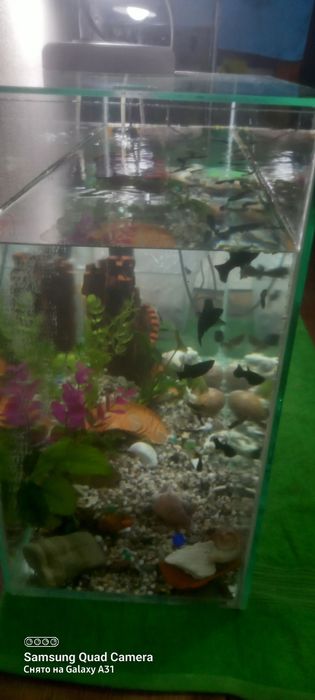 Продам аквариум  на 80 и 60  литров