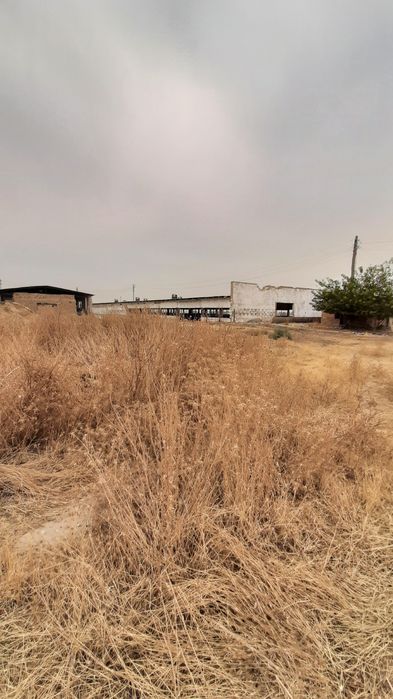 Срочно продаётся 4.5-гектар Туйтепа готовий бизнес