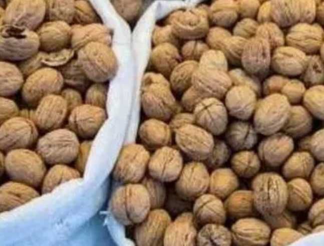 Vând nuci în coajă