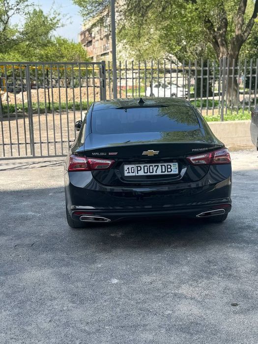 Malibu premier sotiladi