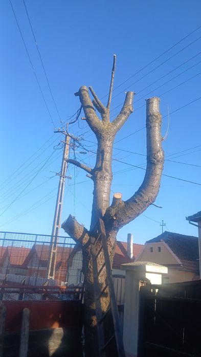 Vand cires ptr mobila