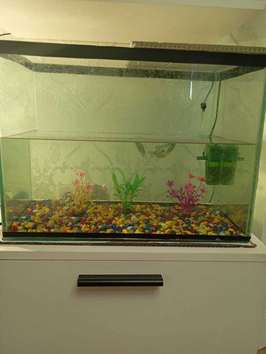 Продам аквариум с компрессором и рыбками