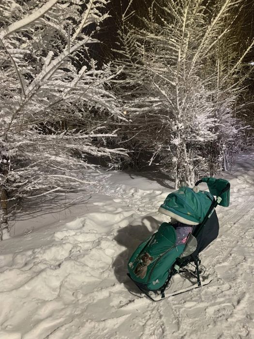 Санки-коляска 5в1