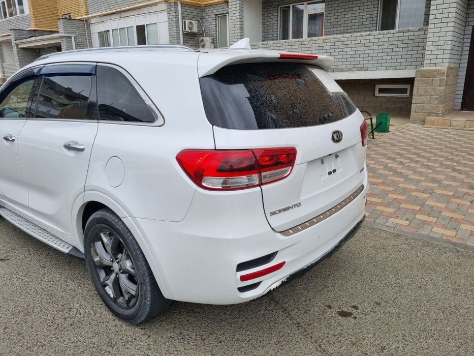 Кулик сатылады  ср