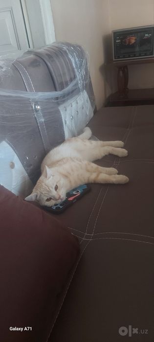 10oyli ogil bola mushu xadiyaga shundo beriladi