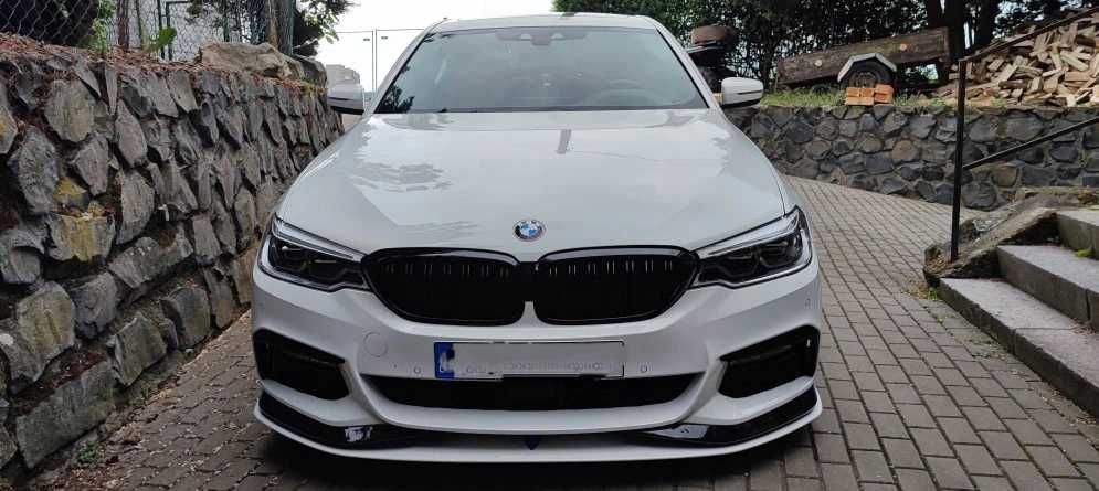 Grile Nari Duble M BMW Seria 5 G30 G31 G38 Negru Lucios, Grila Dubla