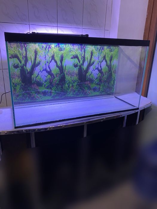 arzon akvarium laminat 3d fon 108.litr
