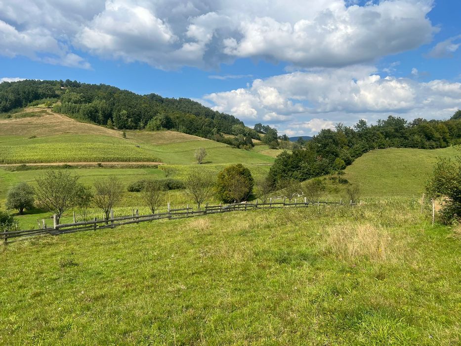 Teren de vanzare exatravilan