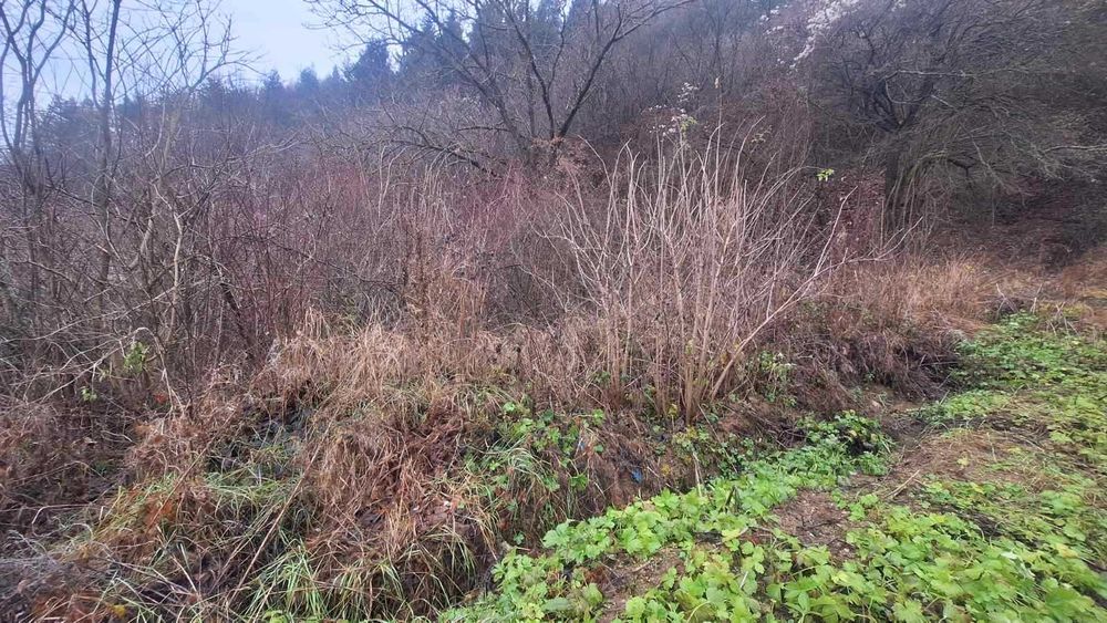 Продава се Парцел в Елин Пелин - 330 кв.м за 44 €/кв.м - Снимка #2