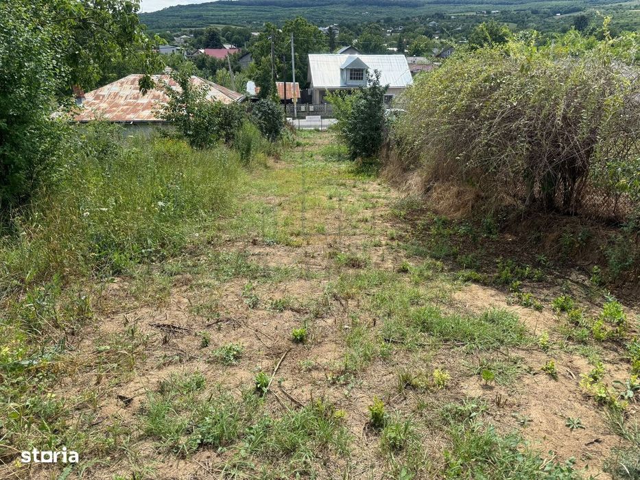 Teren in Goruni comuna Tomesti 12 km de rond Podu Ros