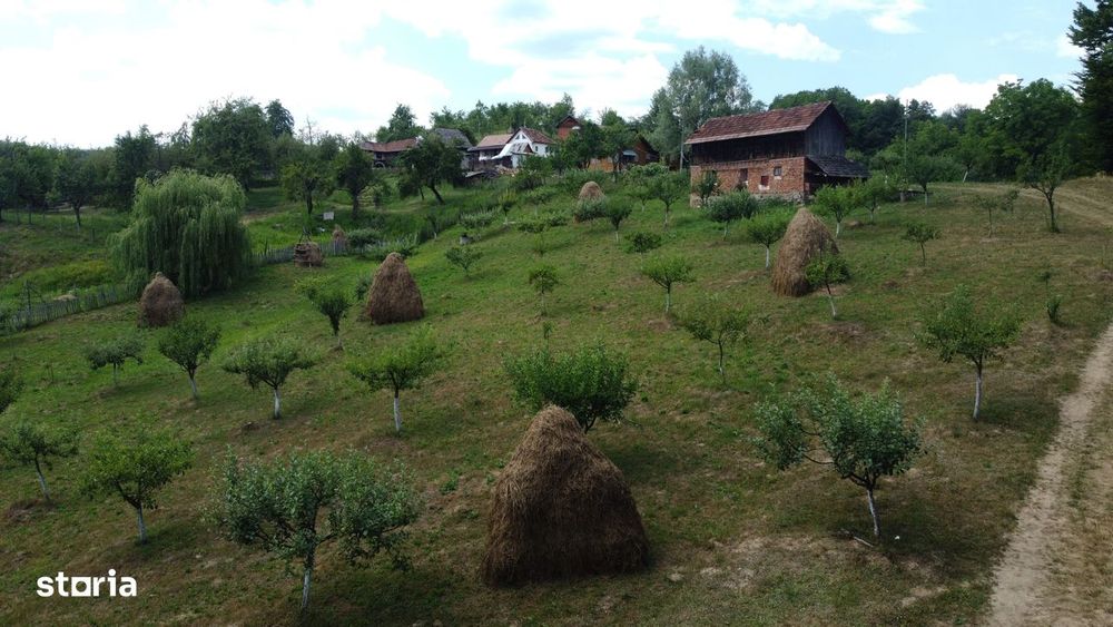 Teren de vânzare în comuna Cicănești, sat Bărăști, Judet Arges.