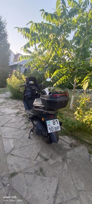 Скутер Лия макси 180сс