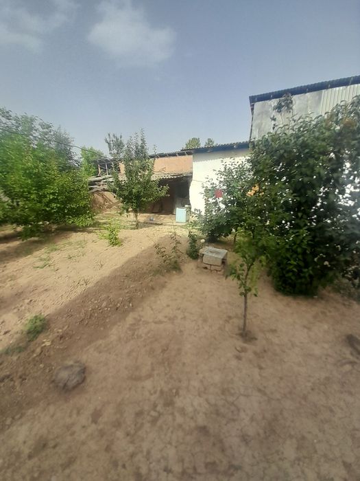 Уй сотилади Янгибозорда