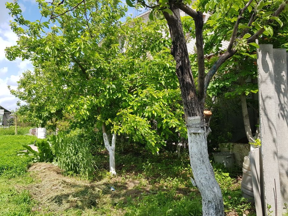 Продам дачный участок с домиком