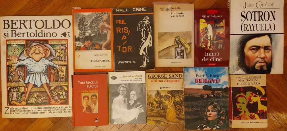 Literatura: Barnes/McEwan/Kawabata/Bulgakov etc