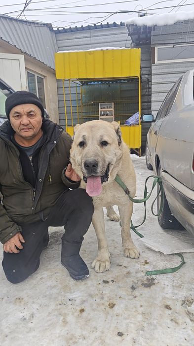 Кабель для вязки