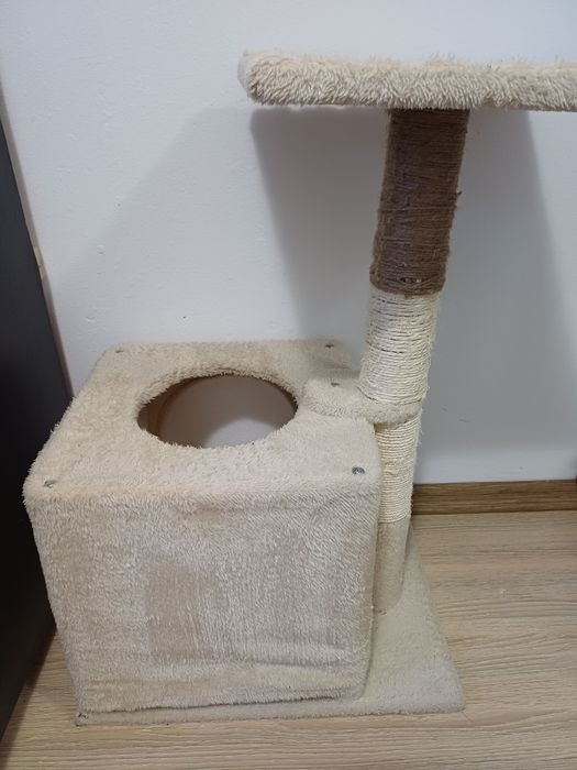 Ansamblu pentru pisici