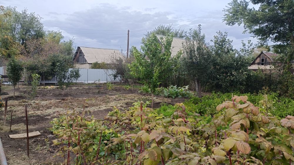 Продам дачу со всеми насаждениями