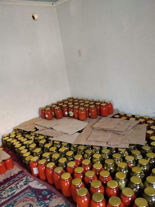 Банка сатылады туркестанда