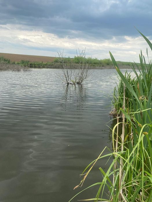 Teren intravilan de vânzare – Butimanu – Niculești