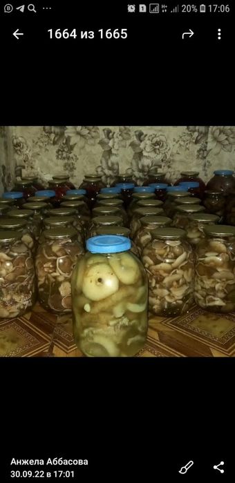 Продам грибы маслята 2 литра 8000тг