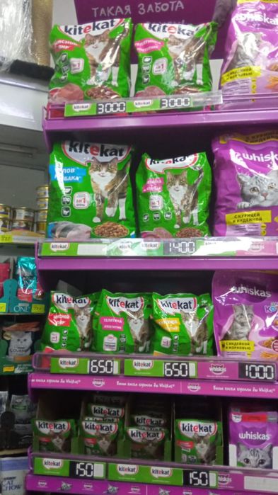 Для котят домик когтеточка