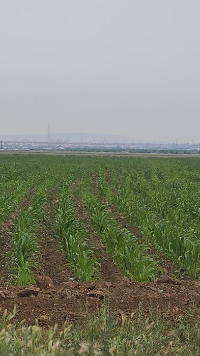 Участок 7 га  район аэропорта.