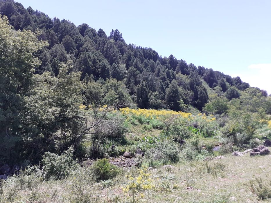 Прод-ся: Земли вдоль дороги