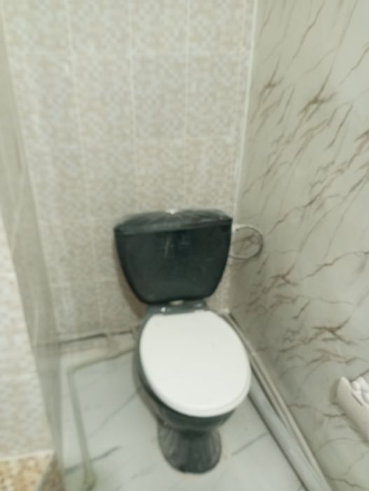 Сдам дом, квартира