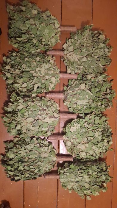 Березовые веники для бани