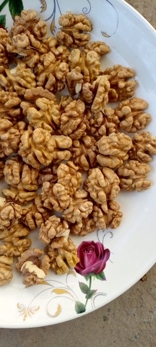 Yongʻoq  magzi opoq