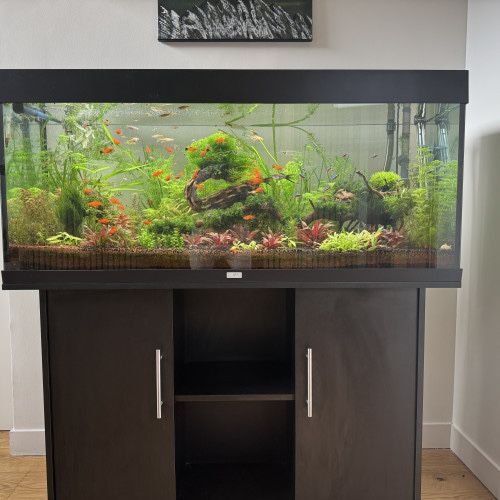 Acvariu JUWEL 240L / nu Terariu/ SCHIMB