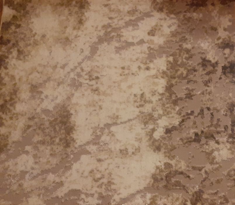 Vand  covoare  3  D  noi model  relief