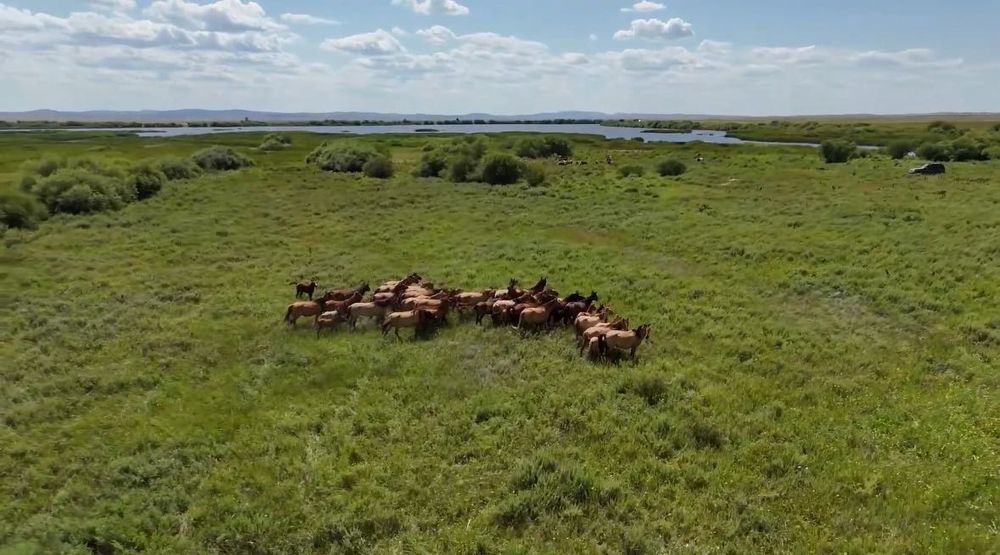 Крестьянское хозяйство