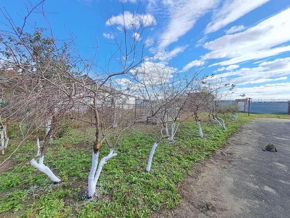 Продам  дом в с. Садовое