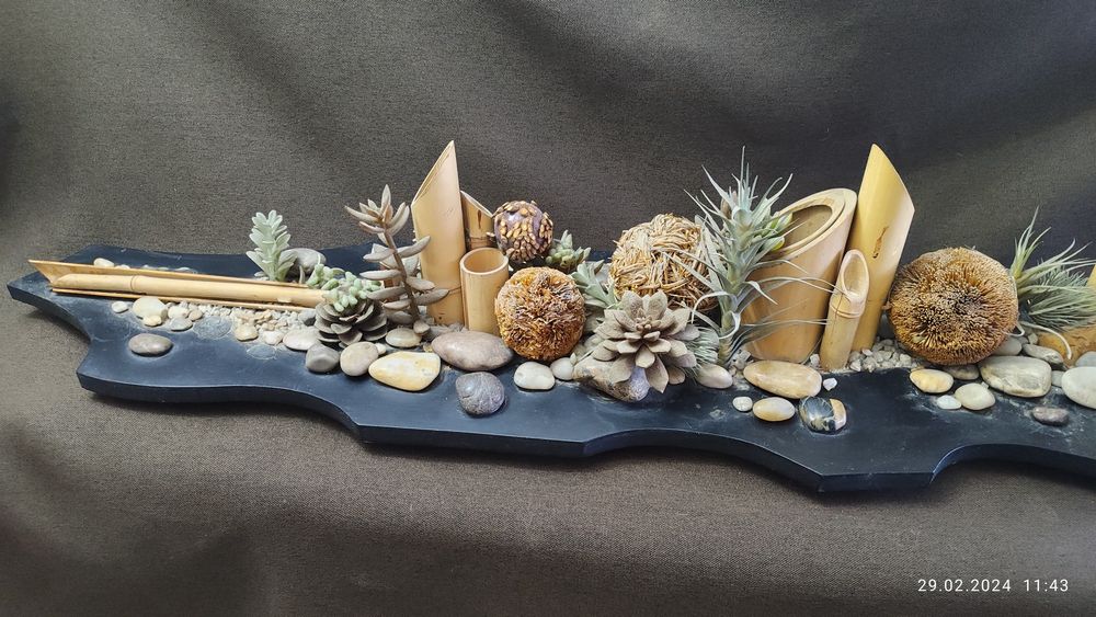 Зеленый сад фитостена