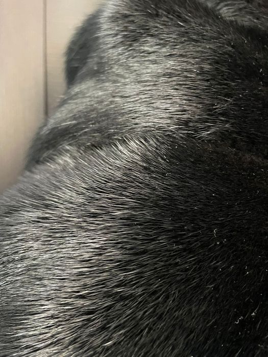 Норковая шуба-трансформер