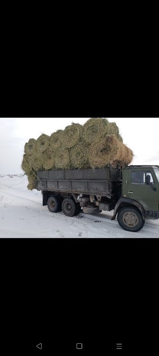 Сено жоношка урлон жоношка сатамын