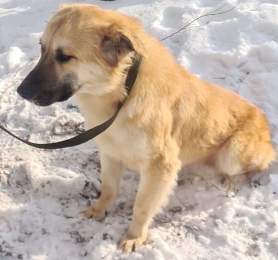 Кому ЗвонОчкоВ и СтороЖей