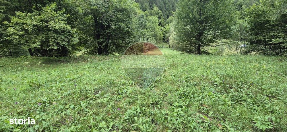 Teren de vis de 2.800 mp pe Valea Tărcăului – Cu lac natural și pădure