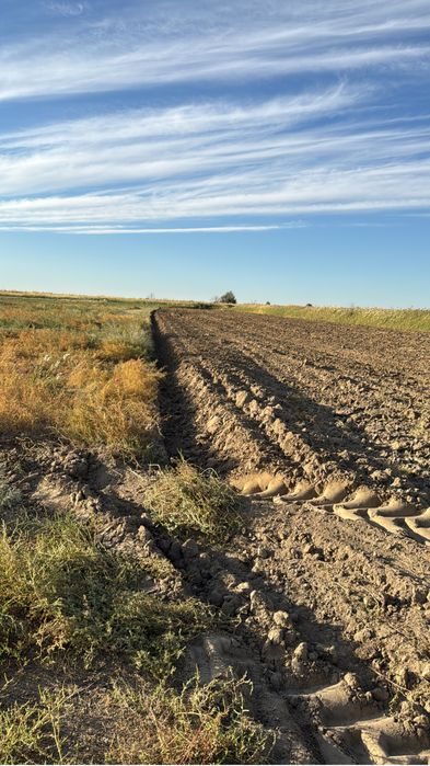 Участок 25 гектар поливная земля вспахана подготовлена к весне