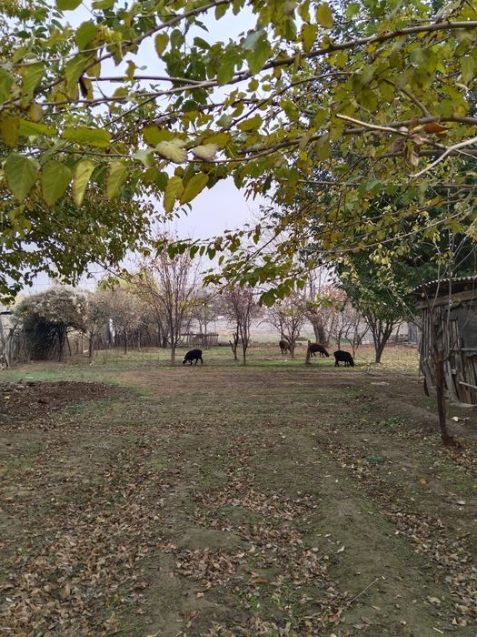 Участок сатылады/ Продам участок Микоян