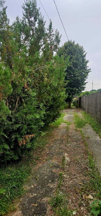 Casă și teren intravilan în com. Plopu, sat Nisipoasa, jud. Prahova.