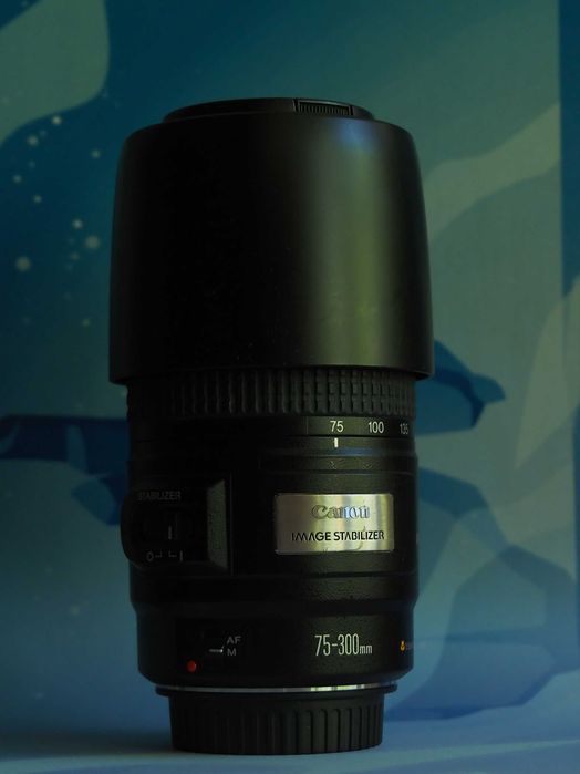 Kit foto Canon EOS 1300D - 4 Obiective incluse (Super Tele 800mm)