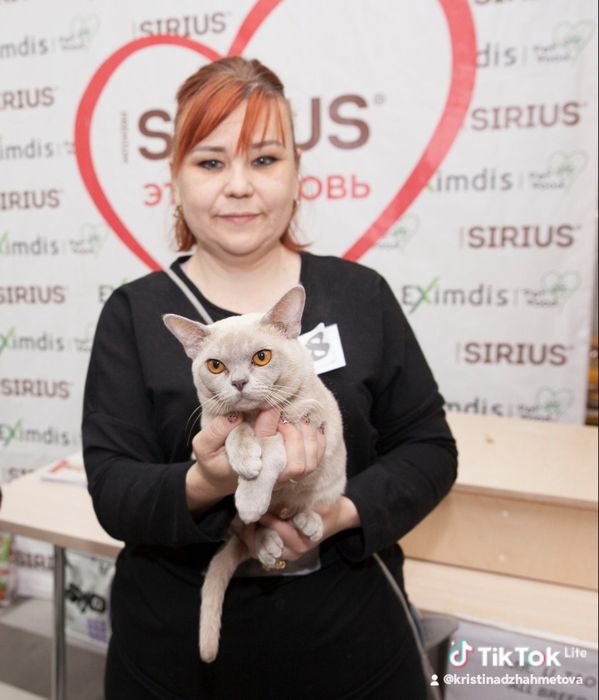 Европейская бурма