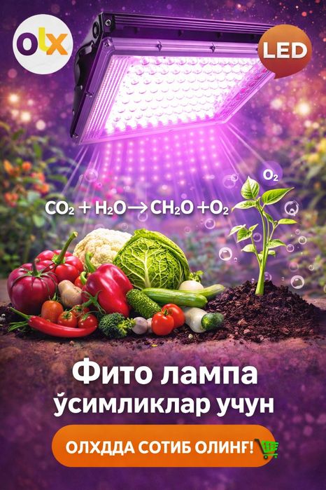 Fito lampa õsimliklar uchun