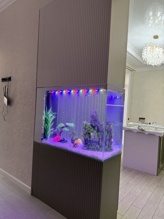 Buyurtma asosida akvarium yasab beramiza
