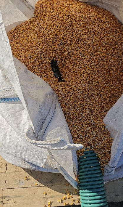 Snec pe furtun flexibil pentru transport porumb rumeguș furaje granule