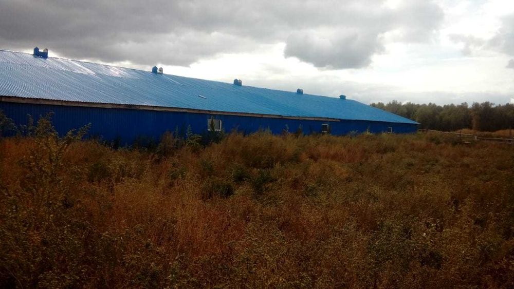 Срочно! Продам базу. Трудовая Нива. 30 км от Петропавловска - View 3